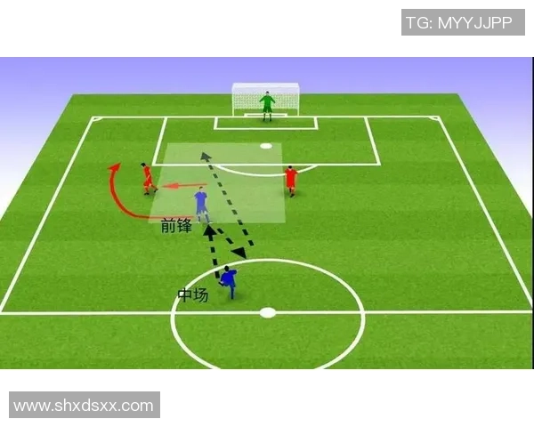 足球大知识揭秘：从历史起源到现代战术的全面解析与探讨