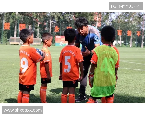 足球围板的设计与应用探索助力青少年足球发展与场地优化