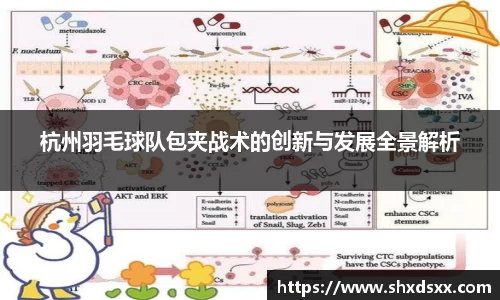 杭州羽毛球队包夹战术的创新与发展全景解析