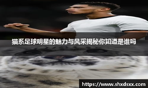 猫系足球明星的魅力与风采揭秘你知道是谁吗